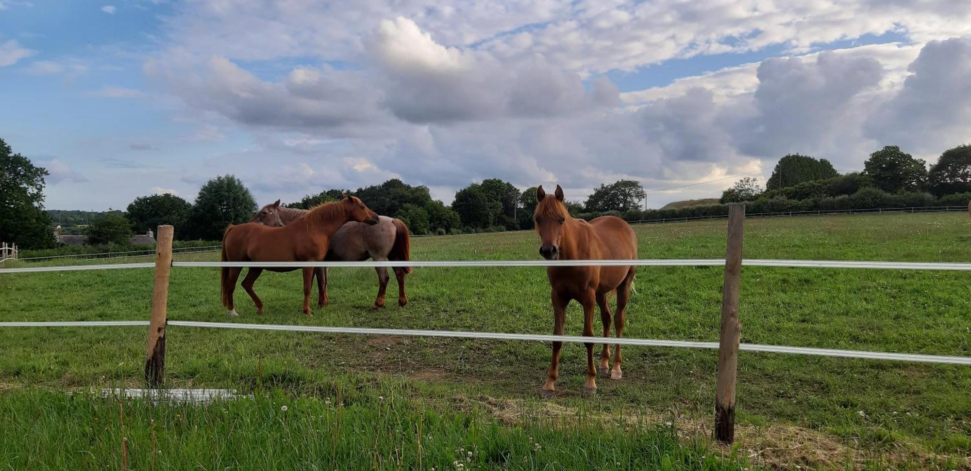 Gite De Bealieu Briec Exteriér fotografie